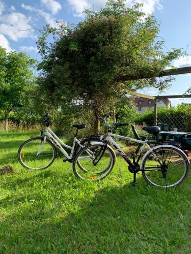 Apartamento Appartment Am K�nigsberg, L�ssau
