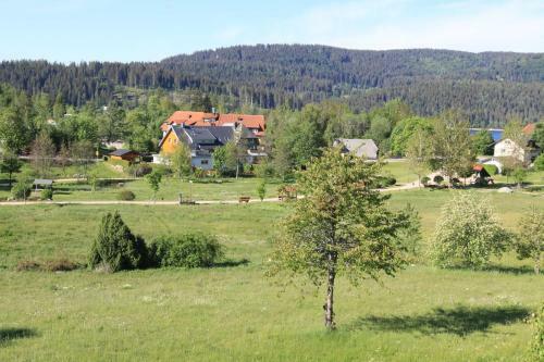 Apartamento Ferienwohnung Naturpark Schluchsee