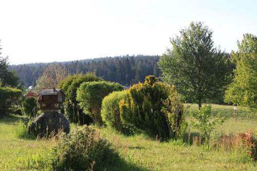 Apartamento Ferienwohnung Naturpark Schluchsee