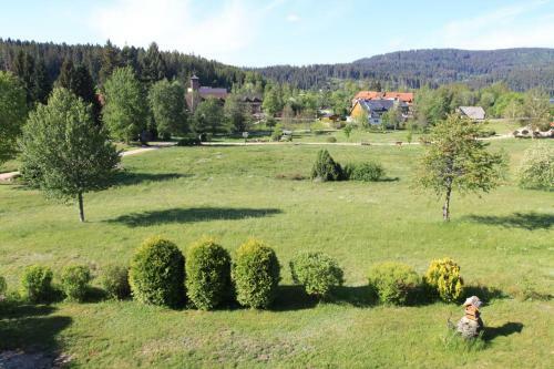 Apartamento Ferienwohnung Naturpark Schluchsee
