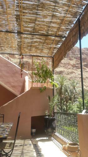 Riad Zitun
