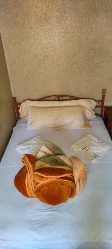 Hostal Hotel Dar Aicha