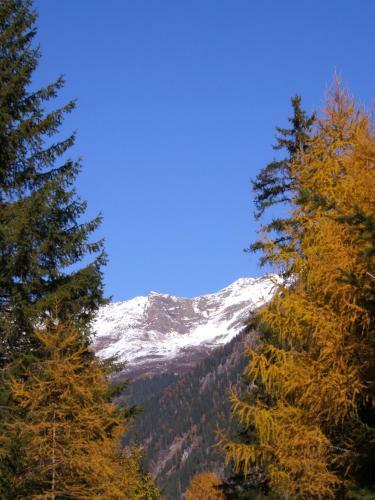 Apart Dorfblick