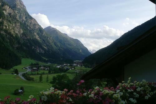 Apartamento Appart Sonnenheim