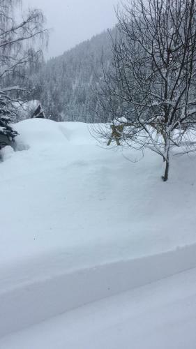 Apartamento Appart Sonnenheim