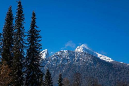 Beautiful Cosy House Near K�nigsee