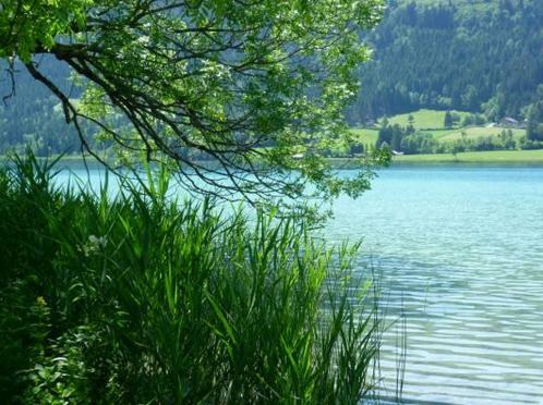 Apartamento Landhaus Sonneck