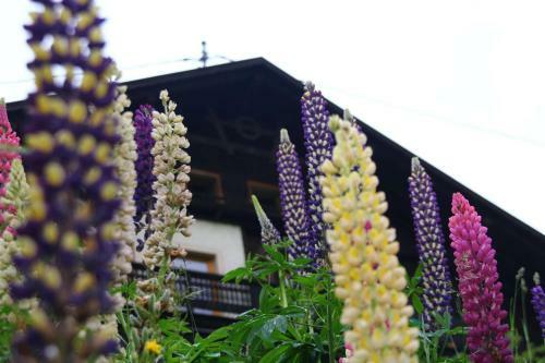 Posada Gasthof Luggau