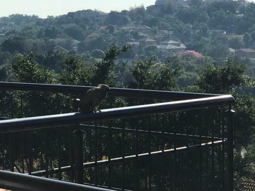 Bed & Breakfast Bokamoso Views