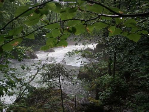Apartamento Ferienwohnung Bluntaum�hle