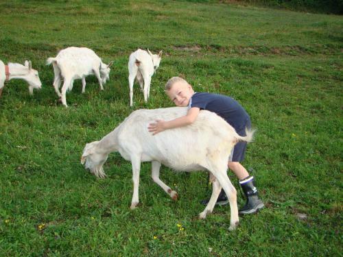 Agroturismo Urlaubsbauernhof Wabnig