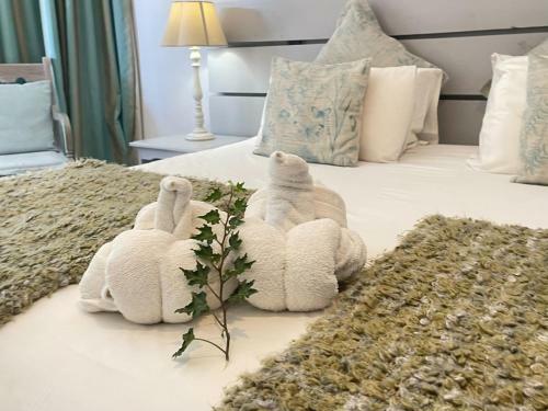 Hostal Amorus Guesthouse