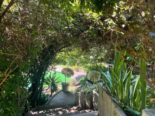Hostal Amorus Guesthouse