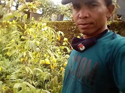 Karleta Homestay