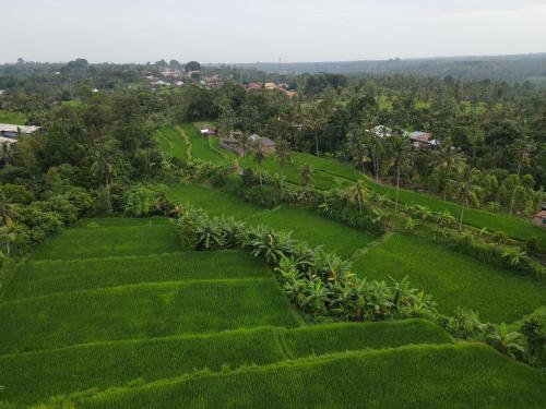 Kubu Astina