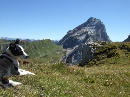 Apartamento Sonnenhaus Sander