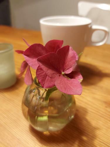 Bed & Breakfast Hof W�lper Raven
