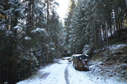 Hotel Wieser