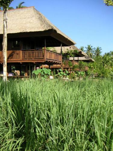 Bed & Breakfast Singko Lovina