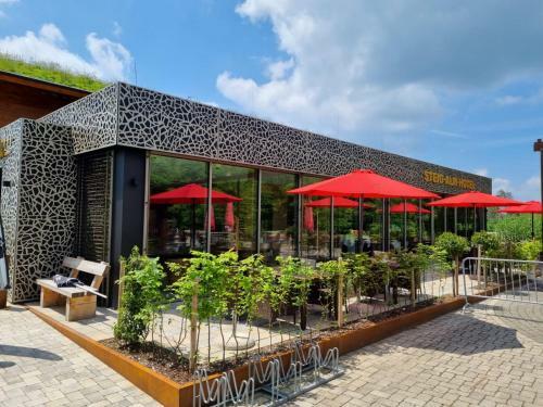 Steig-alm Hotel Superior