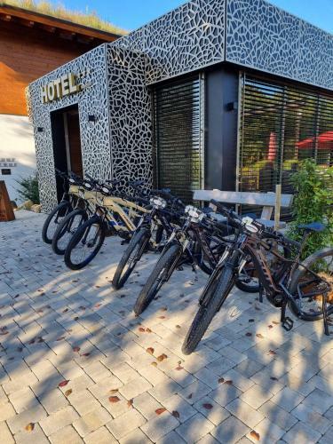 Steig-alm Hotel Superior