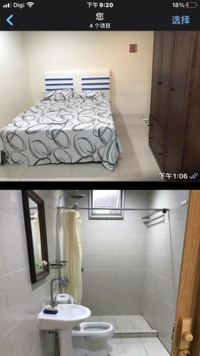 Singa Angsa House