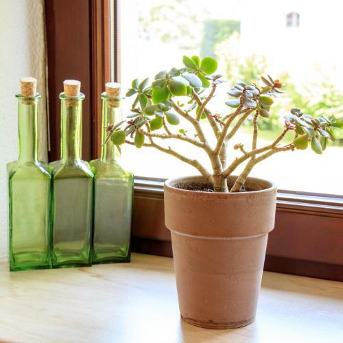 Bed & Breakfast Pension Alte M�hle