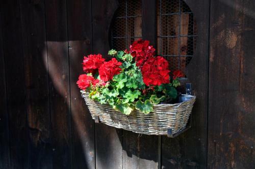 Bed & Breakfast Pension Alte M�hle