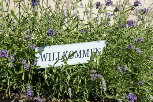 Bed & Breakfast Pension Alte M�hle