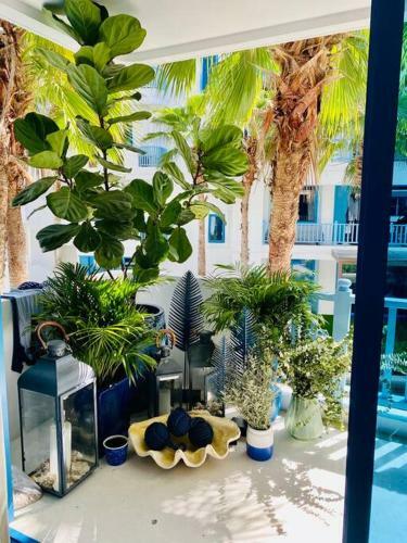 Apartamento 2 Brs Beachfront Condo The Crest Santora Huahin