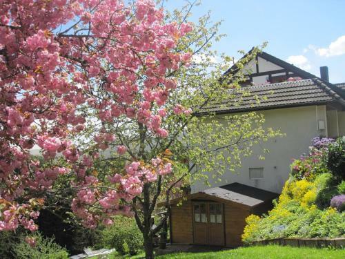 Hostal Pension Hildegund