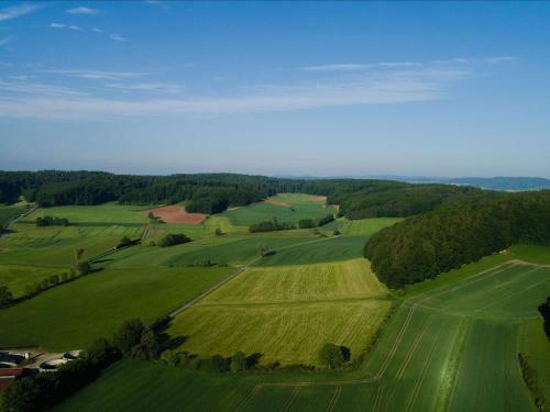 Detached Holiday Home Near Ober-waroldern With Sauna