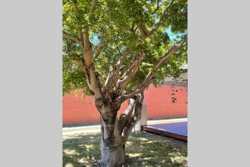 Hazeldene - The Best Location In Town!