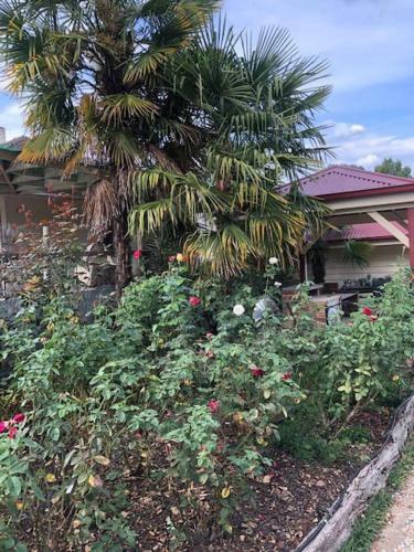 Apartamento Villa Asolana
