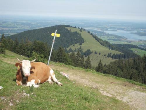 Apartamento 3-zi Atelierdachwohnung M. Bergblick Und 2 Loggia