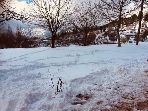 Lodge Mikro Katafygio - ???????? ????? ???? ??????