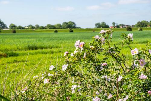 Hotel Pharis�erhof