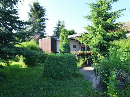 Gorgeous Holiday Home In Cattenstedt Harz With Terrace