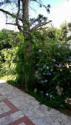 Il Giardino Del Falso Pepe
