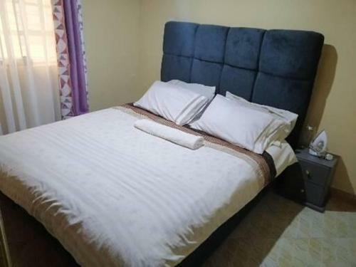 Cozy 1-bedroom Apartment Behind Ruiru Rainbow Resort