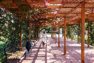 Hotel Desert Rose Resort
