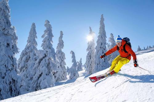 Apartamento Creekside Studio By Cozystay Signature Whistler