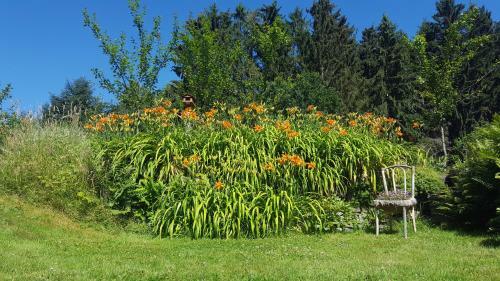 Apartamento La Pommeraie - Le Coin Ardenne