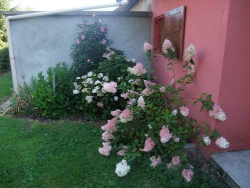 Bed & Breakfast La Maison Du L.a.c.