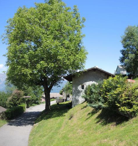 Apartamento Rustico Gino