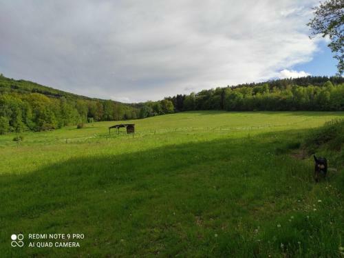 Apartm�n Pod S?�brnou Horou