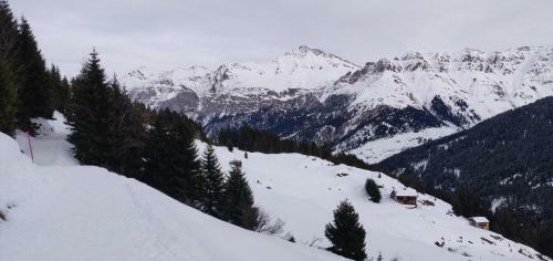 Apartamento Z Studio - Next Door To Vals Therme
