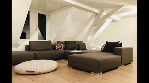 Luxury Penthouse Apartment