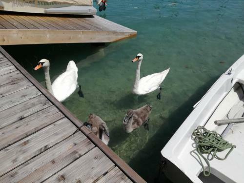 Tennis & Yacht Hotel Velden