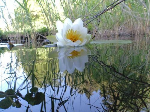 Apartamento Seerose-saissersee